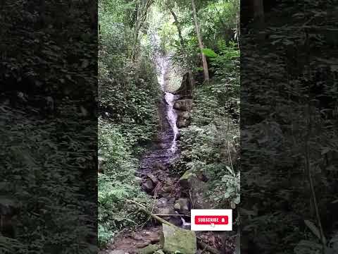 Vila dos Plátanos, Alto Cutias, Lontras -SC. Caminhadas na Natureza com o @sescsantacatarina