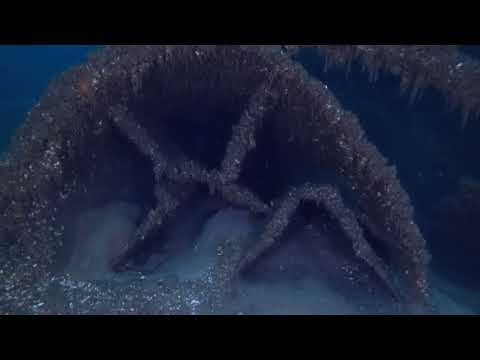 At long last, the SS James Carruthers is found in Lake Huron