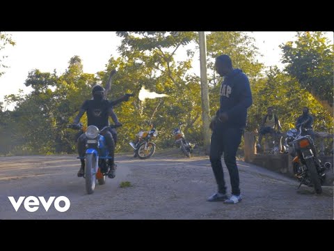 Bibidon - Gratitude (Official Video)