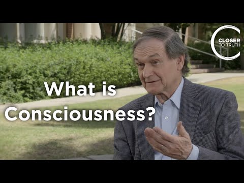 Roger Penrose - What is Consciousness?