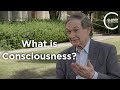 Roger Penrose What Is Consciousness