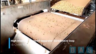 BAS® Hematite Beneficiation via Roll Magnetic Separator (Permroll)