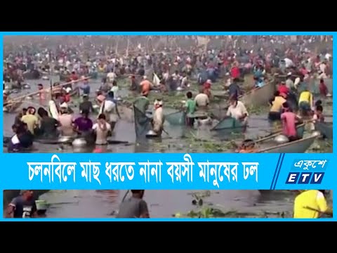 চলনবিলে মাছ ধরতে নানা বয়সী মানুষের ঢল | ETV News