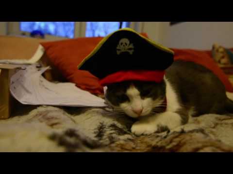 Hurensöhne - BLB 2017 Qualifikation (BaWü)