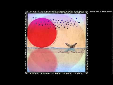 The Moth and The Mirror - Honestly, This World