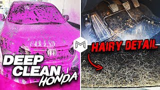 Deep Cleaning a HAIRY Honda | Full Car Cleaning Detailing Transformation