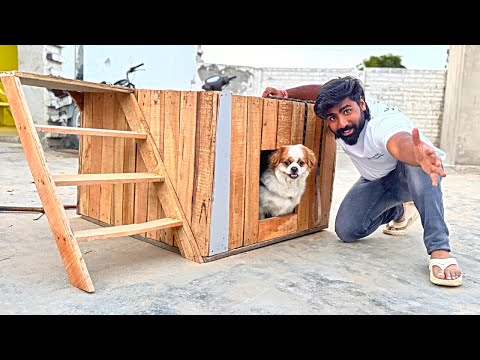 Jojo ka birthday gift 😍