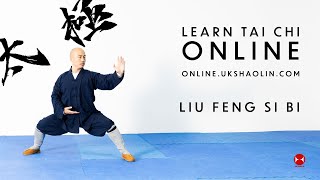 Tai Chi Tutorial | Tai Chi Foundation | Liu Feng Si Bi | 六封四闭 | Six Sealing and Four Closing
