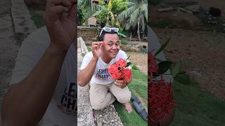 Download lagu Kembang #shorts #funny #woodscraft #comedy #lucu #trending #subscribe mp3 Download lagu Kembang #shorts #funny #woodscraft #comedy #lucu #trending #subscribe mp3