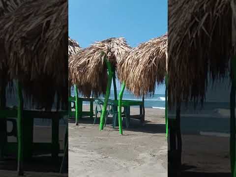 Viernes en el Puerto | Puerto Deportes