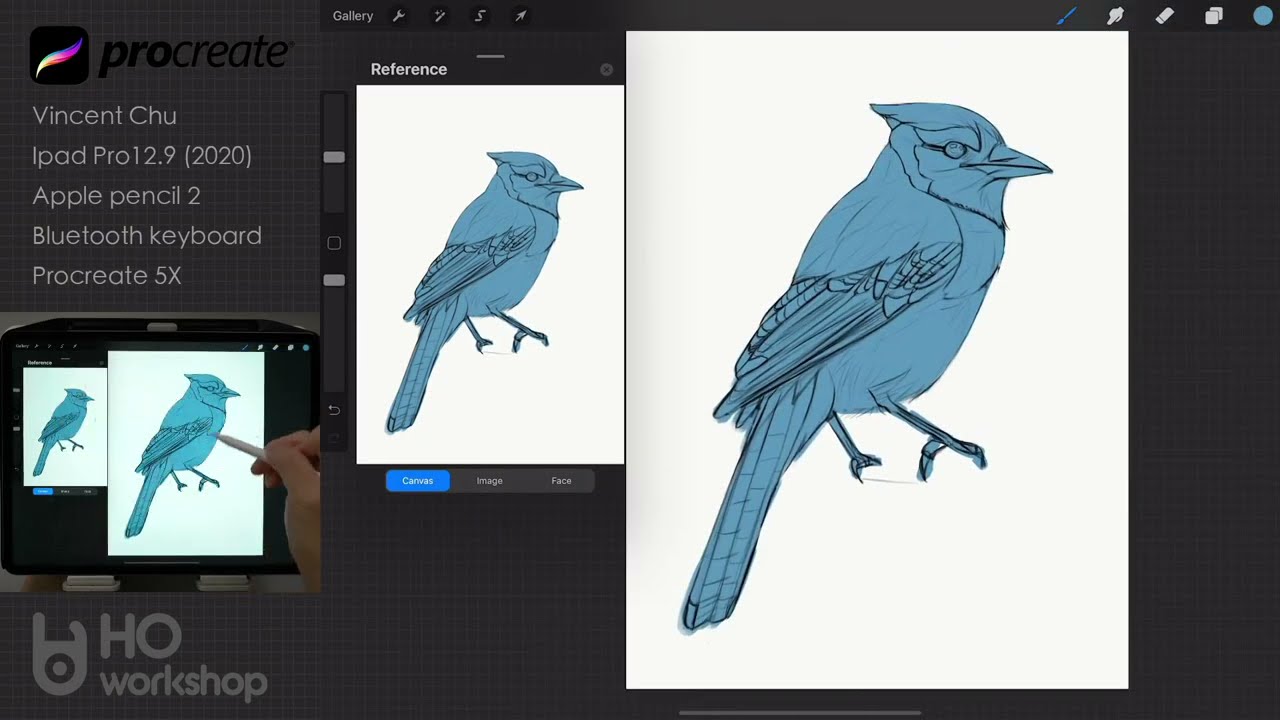 digital art ipad pro procreate painting blue jay bird time lapse by vincent chu