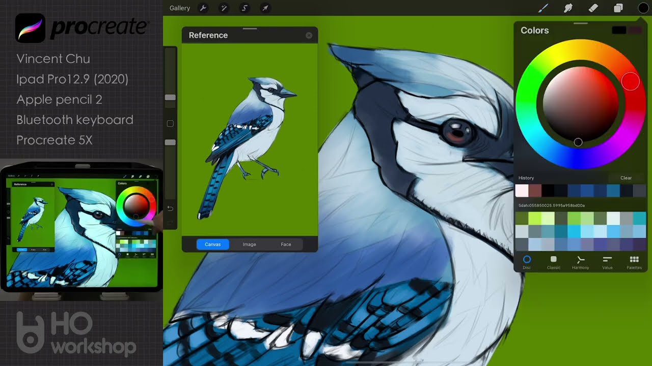 digital art ipad pro procreate painting blue jay bird time lapse by vincent chu