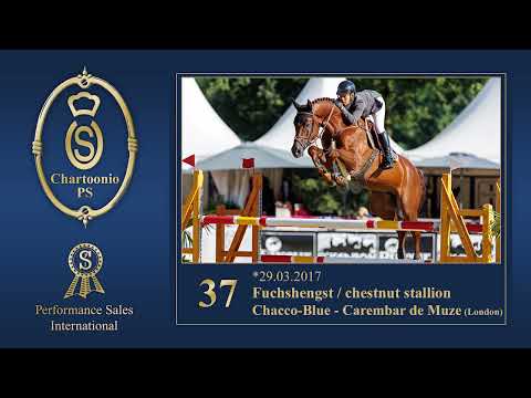 Cat. No. 37 Chartoonio PS