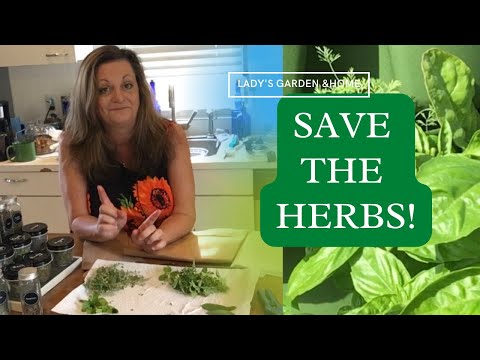 How to Harvest and  Preserve Herbs | 3 BEST Ways to Preserve Herbs!
