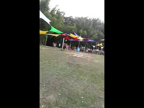 Mind Insana Festival - Reveillon 2016