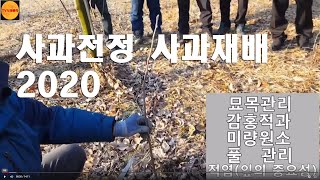 사과 재배 핵심 GPS 묘목.적과.미량원소.적엽.풀관리