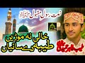 Tayab Tahir Hameedi Sialvi Khali Na Morin Taiba Da Sayyian