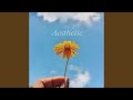 Aesthetic