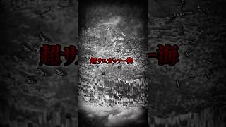 - あなたは空から“魚”が降ってくる理由を知ってますか? #shorts