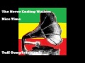 The Never Ending Wailers   Nice Time