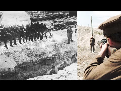 Courcelles 1944 | Execution of 27 Nazi Collaborators After the Massacre – Third Reich History