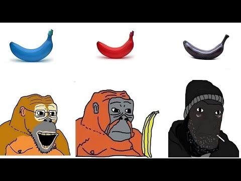 Historia Memów - BLUEPILL REDPILL BLACKPILL