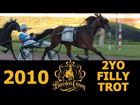 2010 Breeders Crown - Martiniontherocks - 2YO Filly Trot
