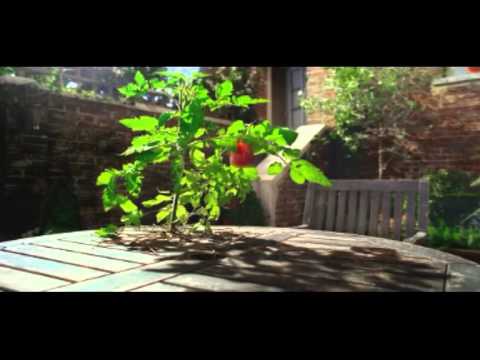 Heinz Tomato Ketchup Commercial 2015