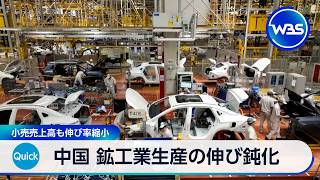 中国 鉱工業生産の伸び鈍化 小売売上高も伸び率縮小【WBS】