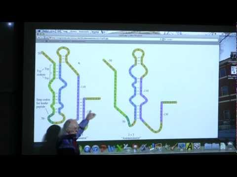 Kevin Ahern's BB 350 Review Session for Exam 2