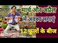 मार्च और अप्रैल के गरमी में जरूर लगाएं