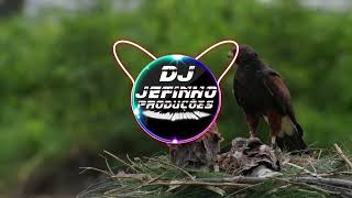 Melô Noites Sem Fim - PISEIRO - DJ Jefinho