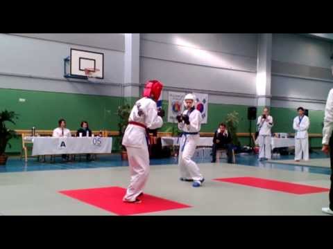 HJMS IC2013 - Handolin vs Wagner-Prenner