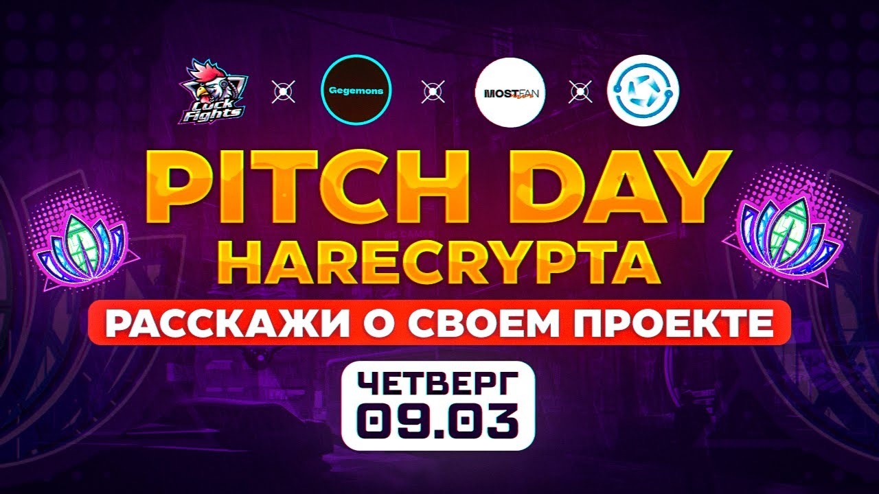 Harecrypta Pitch DAY. Проекты Gami-Fi.