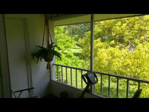 Lovely 1 Bedroom / 1 Bath Condo for Rent - Bradenton, FL