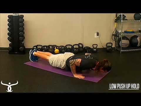 Low Push Up Hold