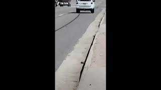 Daniel Larson - The N Word Driveby