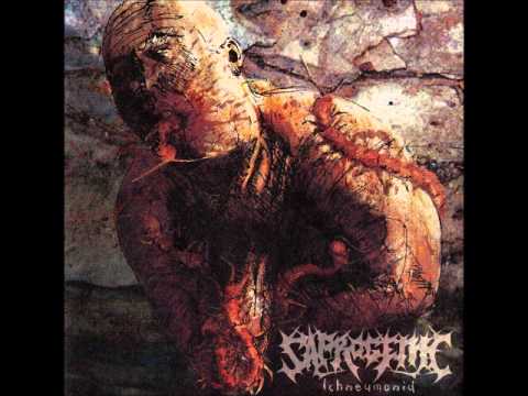 Saprogenic - Bloodwork