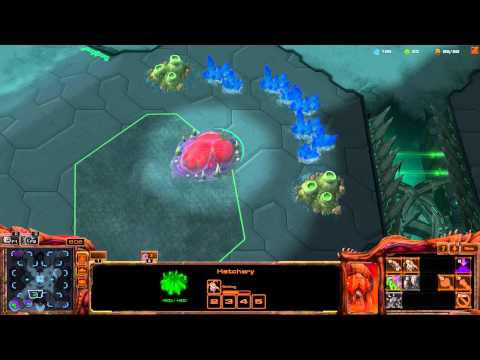 How to Queen Larvae Inject and Hotkey Zerg in Starcraft 2