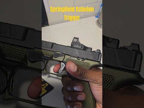 Springfield Echelon w/ Tyrant CNC trigger and Powder River Precision trigger kit.