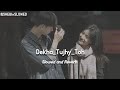 Dekha Tujhe Toh Slowed And Reverb Koyla Movie Songs 90slofi
