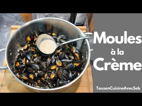Ces moules crémeuses vont vous régaler 🐚✨