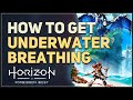 How to get Underwater Breathing Diving Mask Horizon Forbidden West