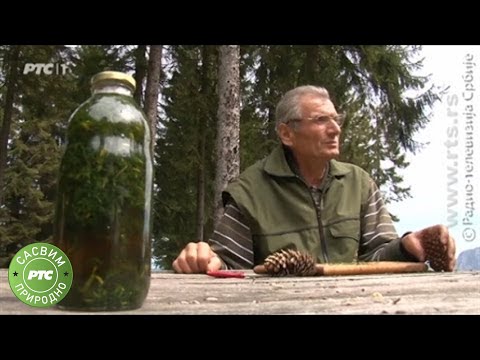 Sasvim prirodno: Čiča Pero sa Bobije (Jovan Memedović)