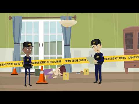 CIA Agent vs. FBI Analyst