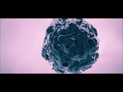 DUCHESS OF DUB - Winter Of Dub (Dub Techno Mix)