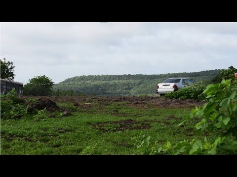 Chasing Daylight | Ambient Music 1 hour | Study | Rest | Meditate