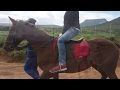Blanco Guest Farm Tarkastad Eastern Cape