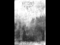 Mysterious Forest - Карпати (2014) 