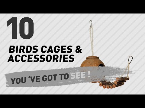 download lagu mp3 mp4 Bird Cage Accessories, download mp3 Bird Cage Accessories free download mp3, download mp3 Bird Cage Accessories